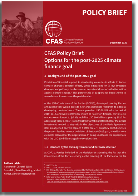 Options for the post-2025 climate finance goal